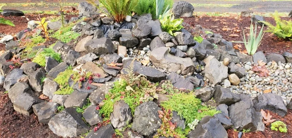 Reliable garden landscaping for residential properties in Tumwater, WA by Coluccio's Landscape And Design