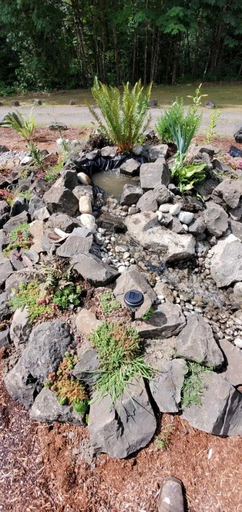 Affordable lawn care service in Tumwater, WA by Coluccio's Landscape And Design