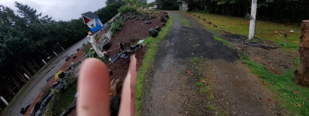 Top-rated lawn care service near you in Tumwater, WA by Coluccio's Landscape And Design