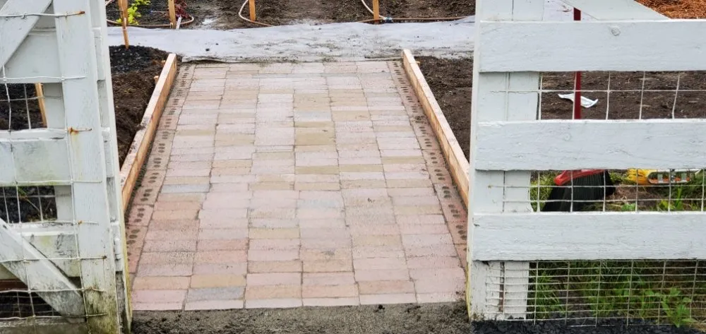 Top-rated lawn care service experts serving Tumwater, WA - Coluccio's Landscape And Design