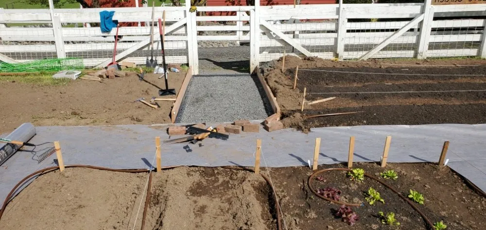 Expert garden landscaping near you in Tumwater, WA by Coluccio's Landscape And Design