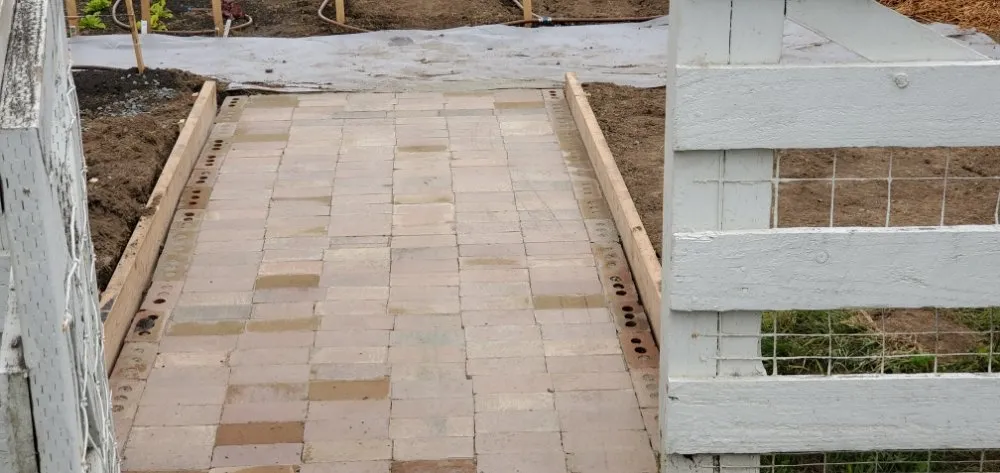 Top-rated landscaping services for year-round maintenance across Tumwater, WA - Coluccio's Landscape And Design