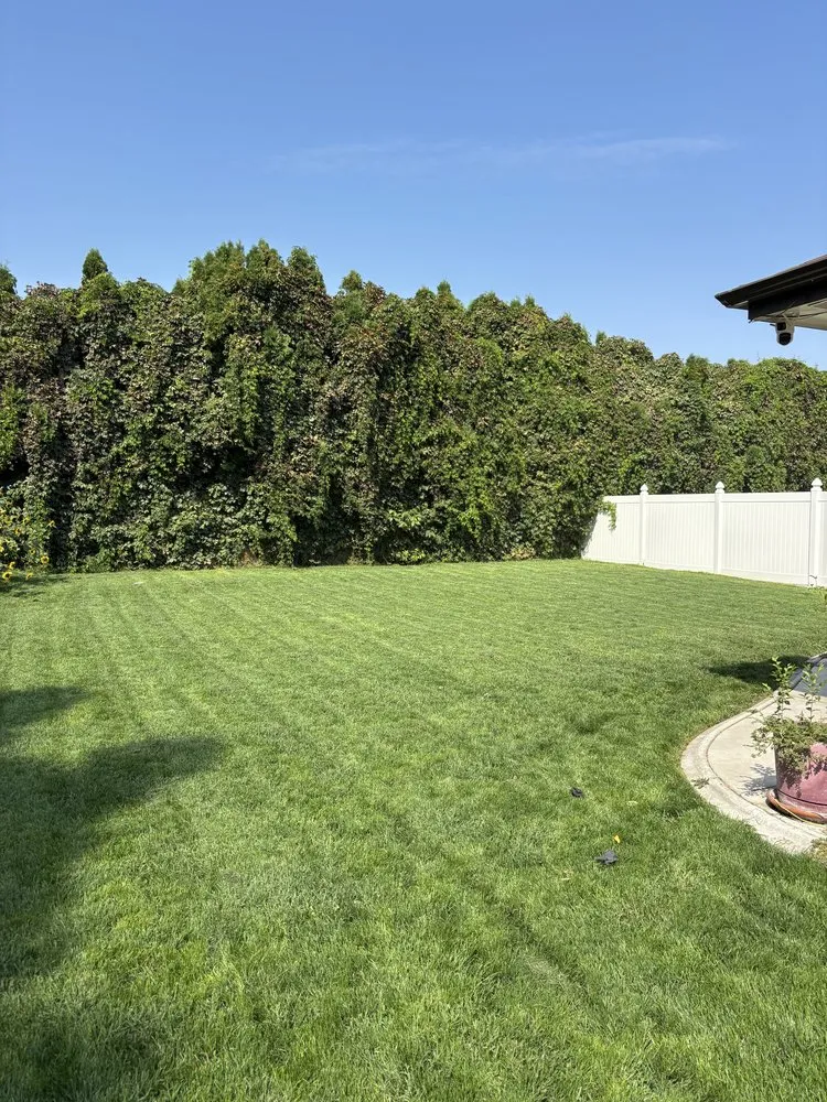 Expert landscape installation for beautiful yards in Connell, WA by Columbia Basin Lawn & Outdoor