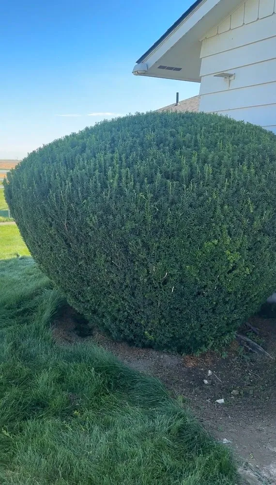 Custom lawn care service with custom design in Connell, WA by Columbia Basin Lawn & Outdoor