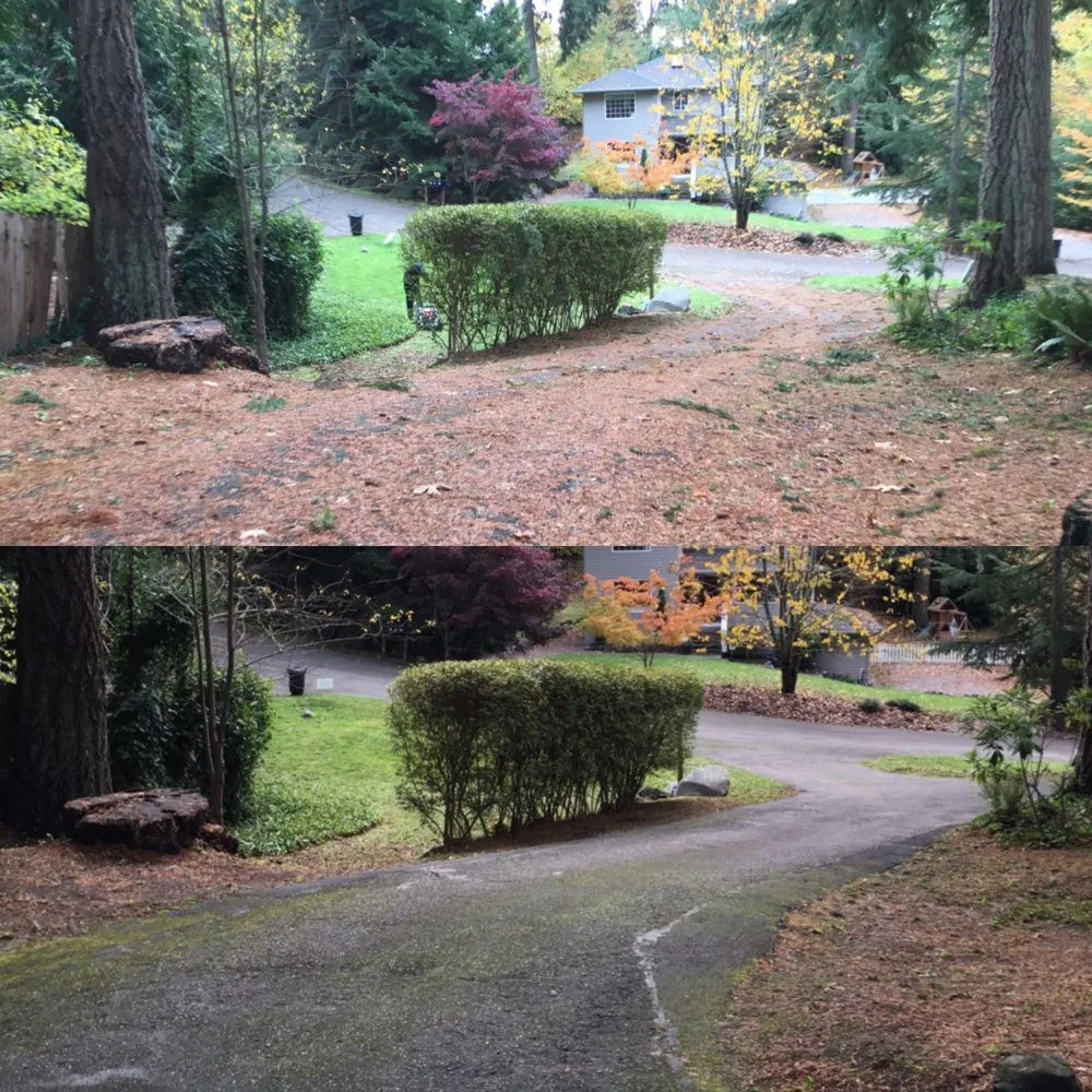Local garden landscaping in Tacoma, WA by Columbia Crest Landscaping
