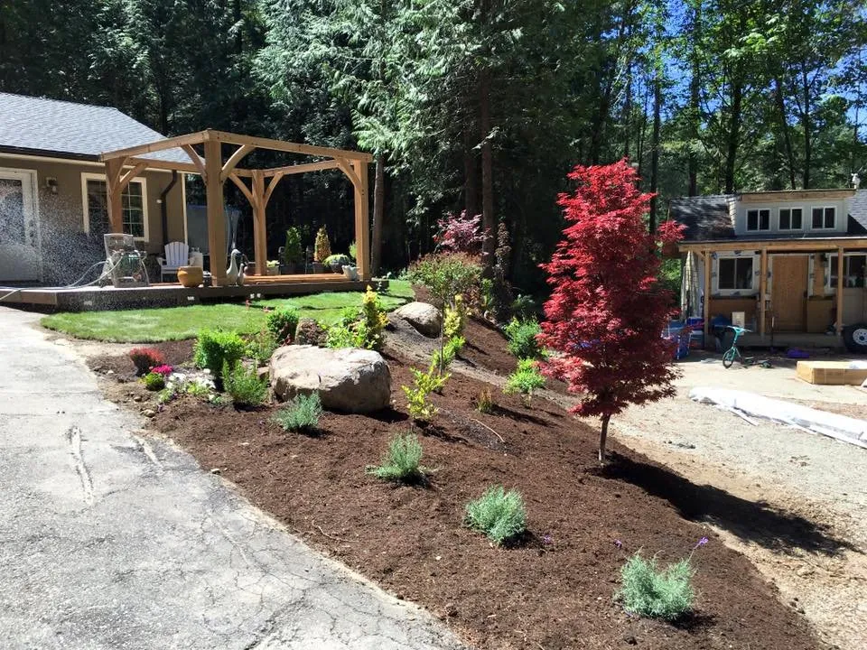 Trusted yard cleanup service in Tacoma, WA - Columbia Crest Landscaping