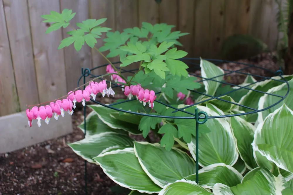 Expert outdoor landscaping in Tacoma, WA - Columbia Crest Landscaping