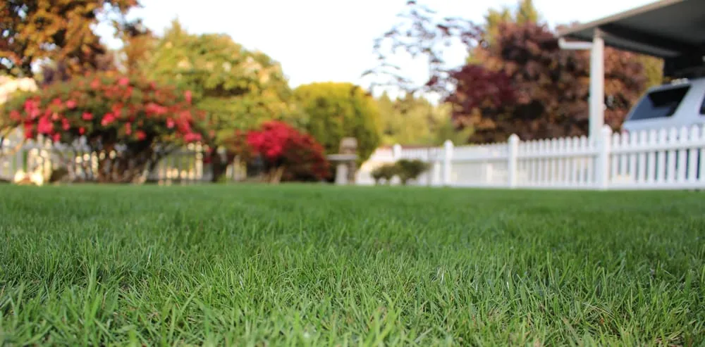 Affordable yard maintenance experts serving Tacoma, WA - Columbia Crest Landscaping