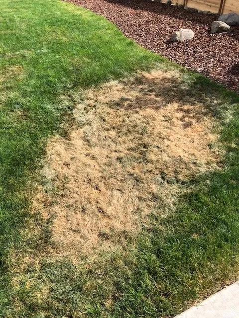 Professional residential landscaping experts serving Stevenson, WA - Columbia Gorge Landscape