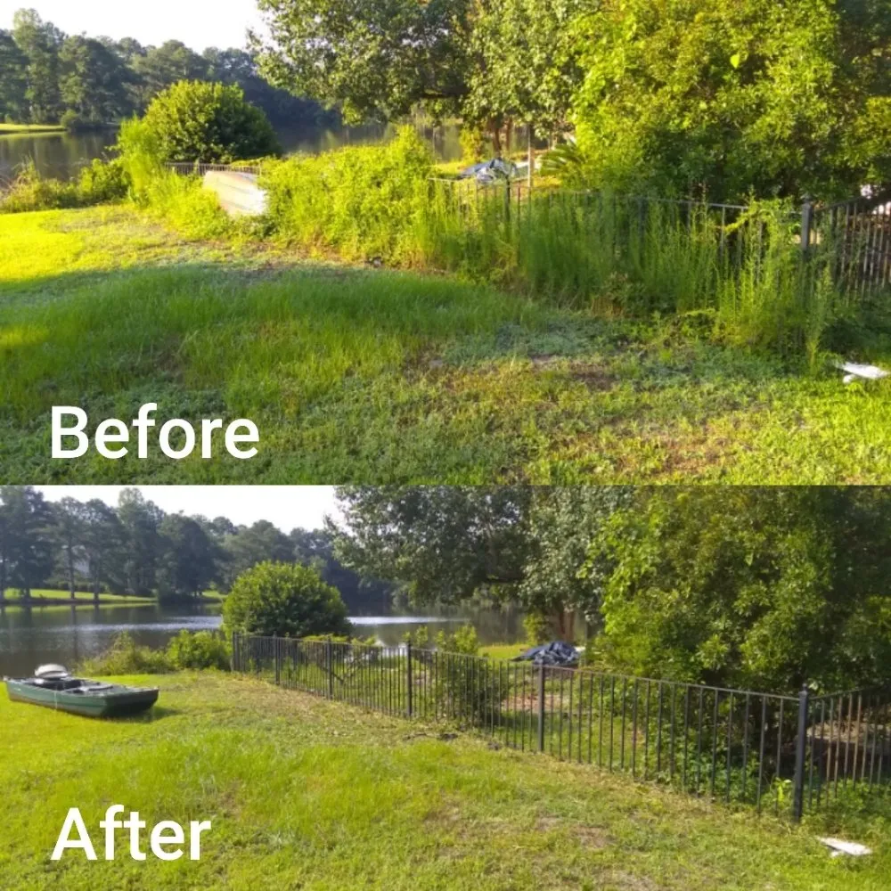 Expert lawn mowing service for year-round maintenance across Columbia, SC - Columbia Hedge Trimming