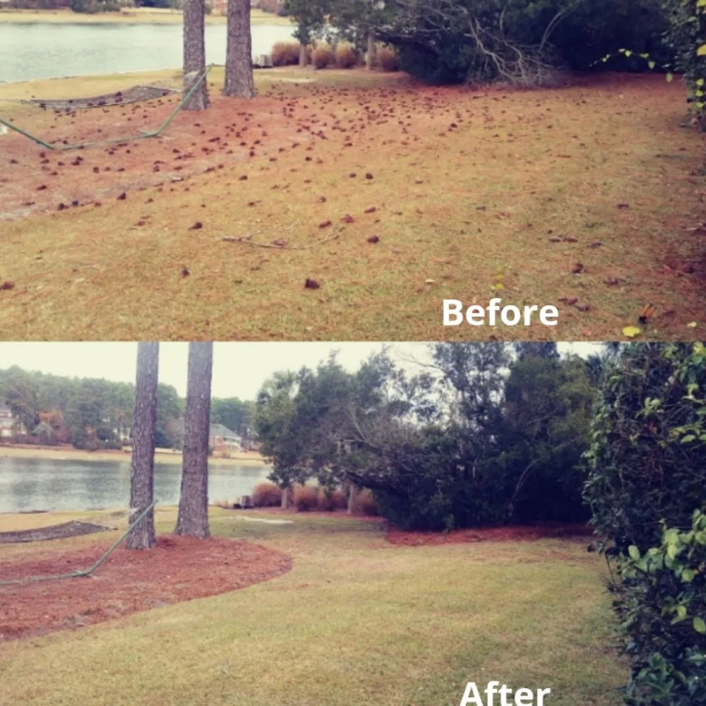 Expert yard cleanup service in Columbia, SC by Columbia Hedge Trimming