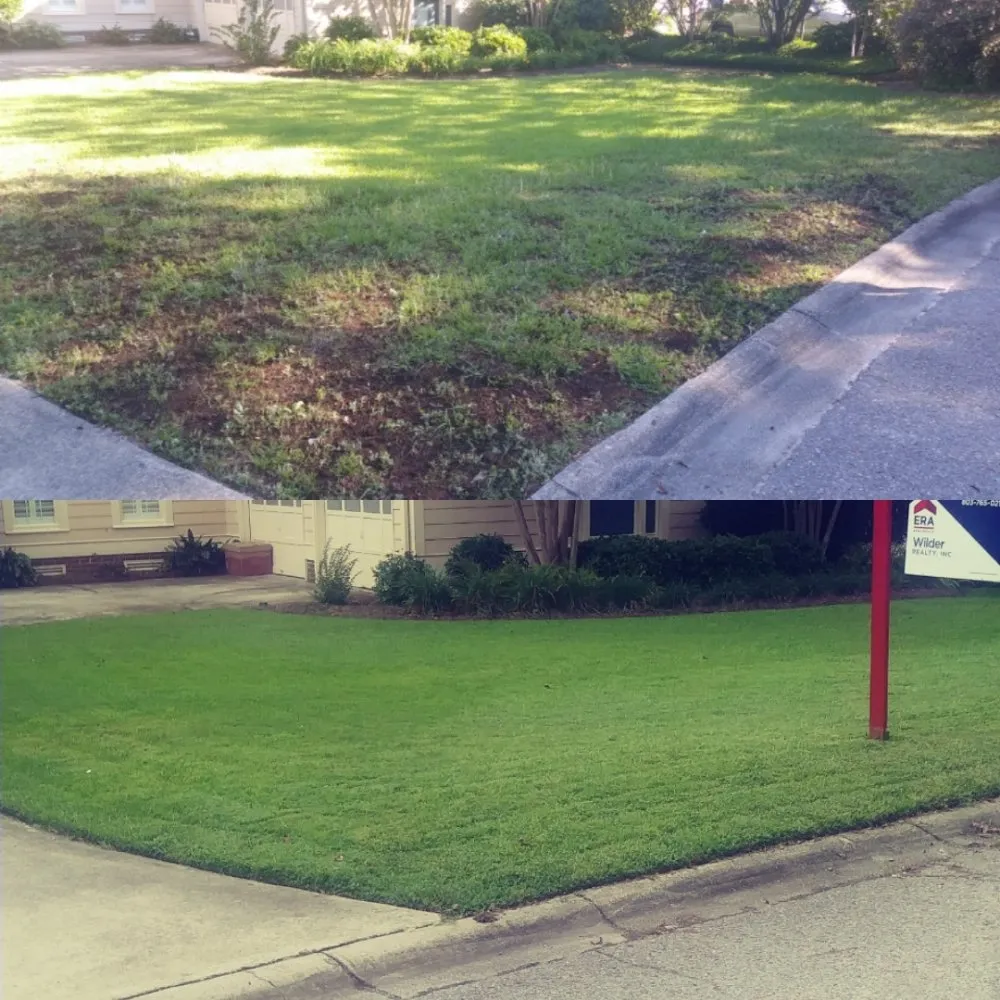 Trusted yard cleanup service experts serving Columbia, SC - Columbia Hedge Trimming