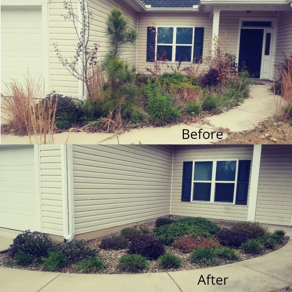 Affordable landscaping services in Columbia, SC by Columbia Hedge Trimming