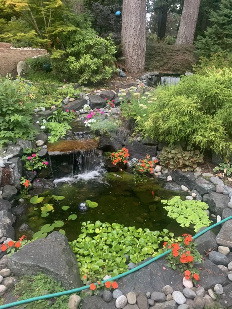 Affordable landscaping services in Redmond, WA - Columbia Landscaping