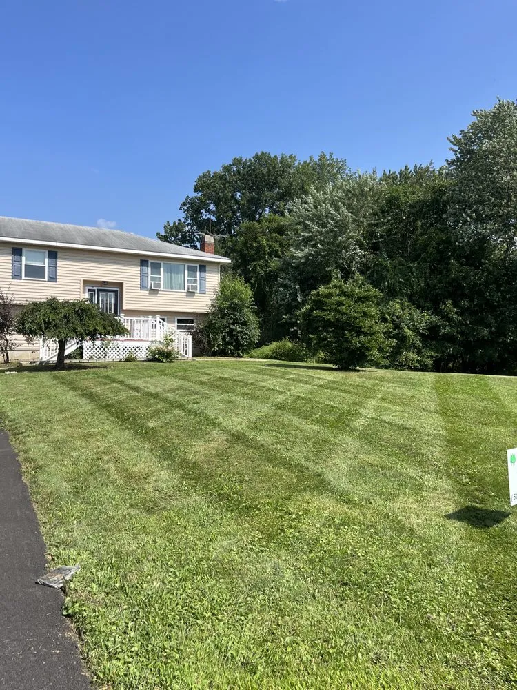 Custom yard cleanup service in Stuyvesant, NY by Columbia Landscaping