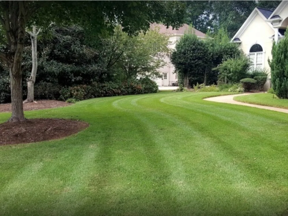 Custom lawn mowing service experts serving Cayce, SC - columbia lawn pro