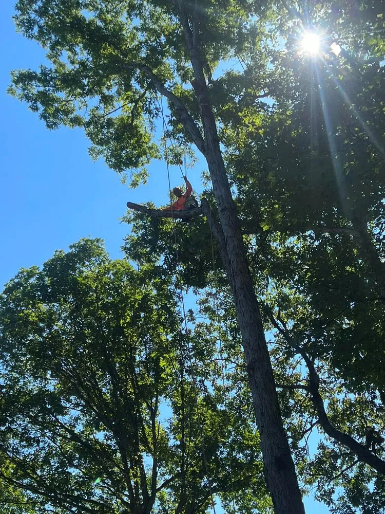 Custom residential landscaping experts serving Jessup, MD - Columbia Tree & Lawn Service