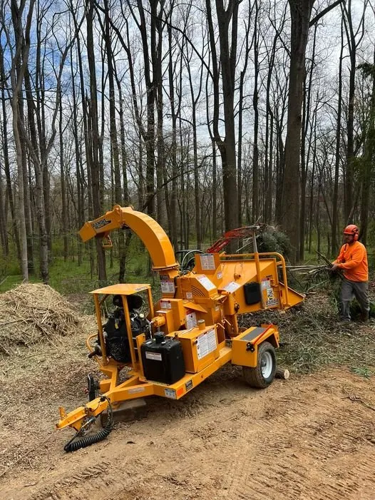 Reliable residential landscaping experts serving Jessup, MD - Columbia Tree & Lawn Service