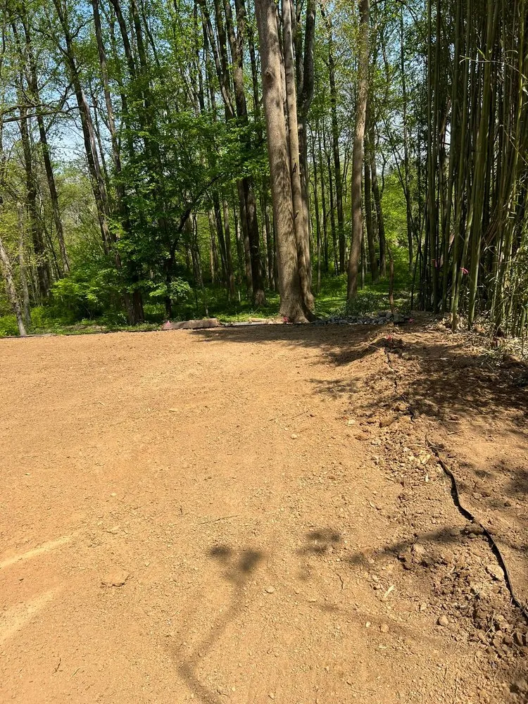 Custom yard maintenance for outdoor upgrades in Jessup, MD by Columbia Tree & Lawn Service