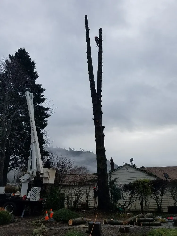 Trusted yard cleanup service for residential properties in Hood River, OR by Columbia Tree Service