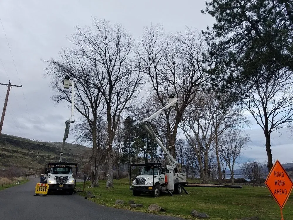 Expert lawn mowing service in Hood River, OR - Columbia Tree Service