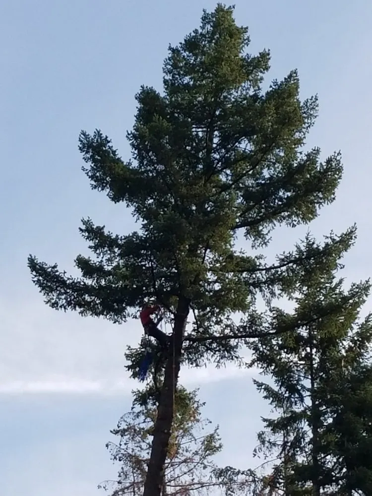 Expert residential landscaping in Hood River, OR by Columbia Tree Service