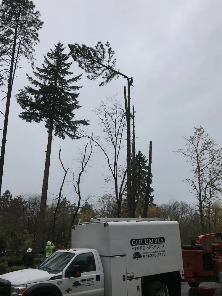 Top-rated residential landscaping in Hood River, OR - Columbia Tree Service