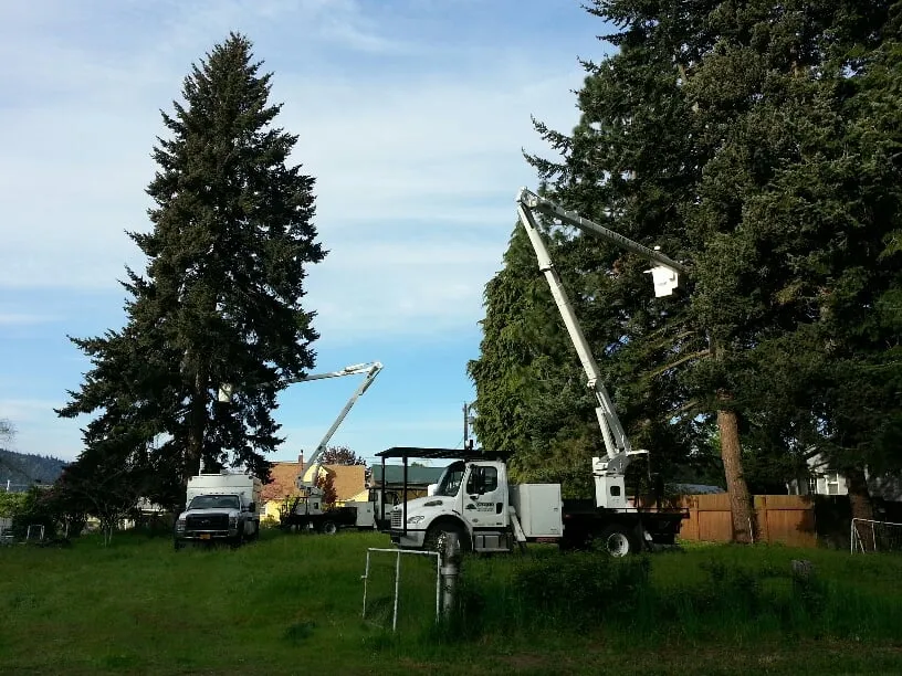 Custom landscape design for homes across Hood River, OR - Columbia Tree Service