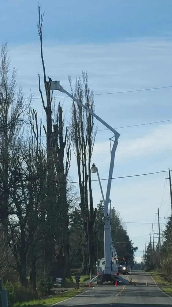 Professional lawn mowing service in Hood River, OR - Columbia Tree Service