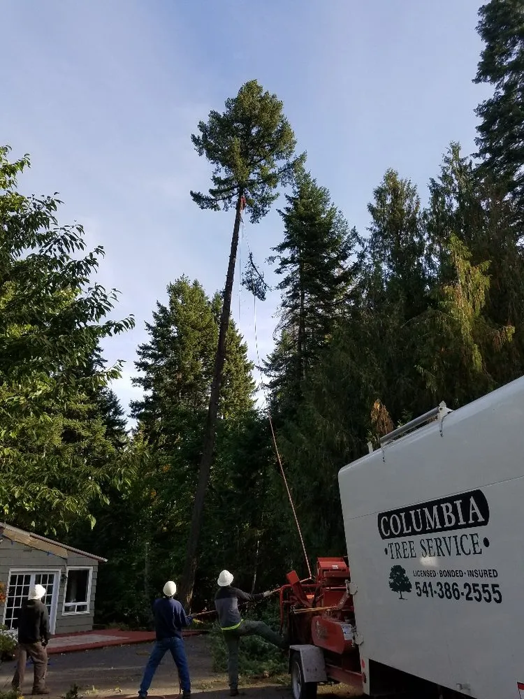 Professional yard maintenance for beautiful yards across Hood River, OR - Columbia Tree Service