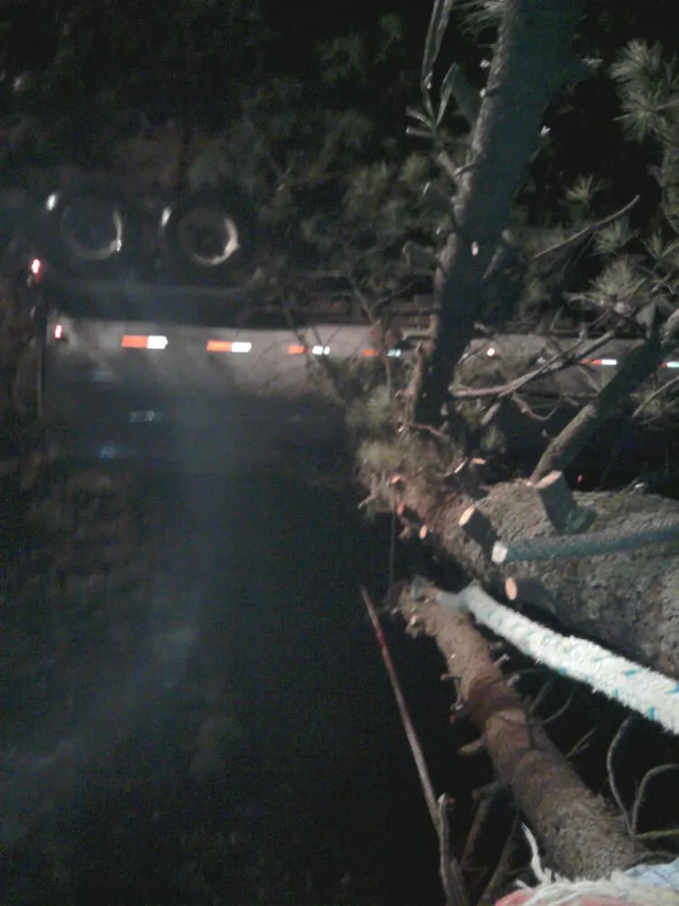 Expert lawn mowing service in Hood River, OR by Columbia Tree Service