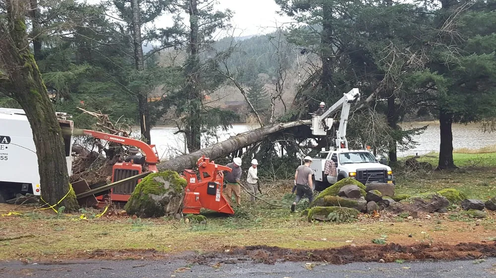 Professional landscape installation in Hood River, OR - Columbia Tree Service