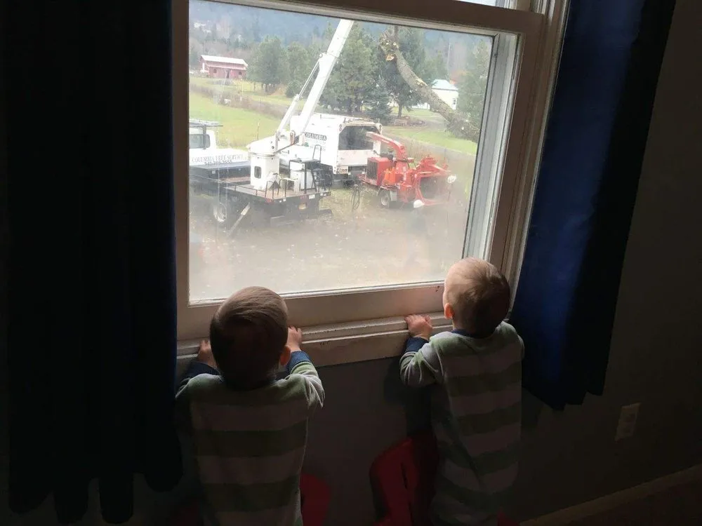 Trusted landscaping services experts serving Hood River, OR - Columbia Tree Service