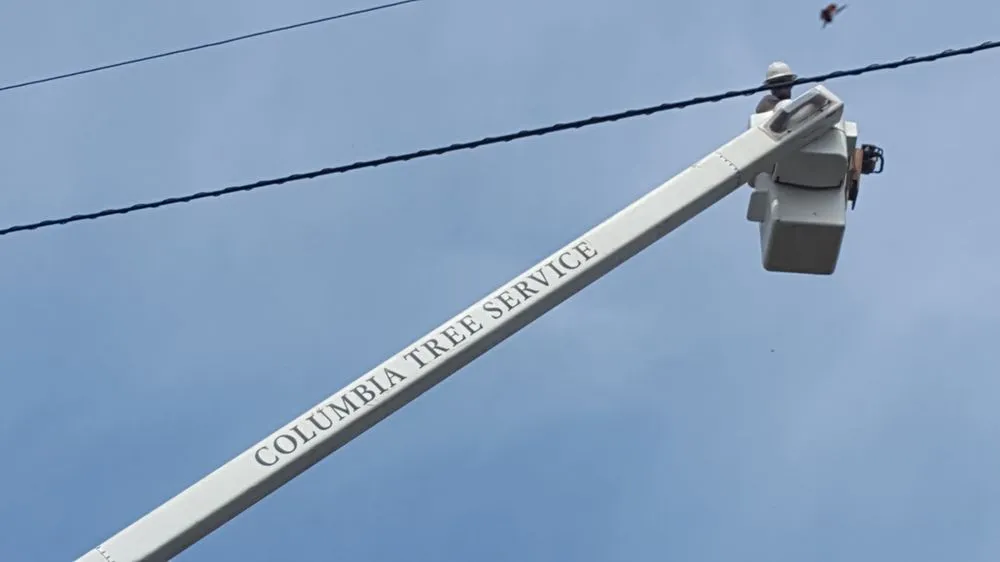 Reliable residential landscaping in Hood River, OR - Columbia Tree Service