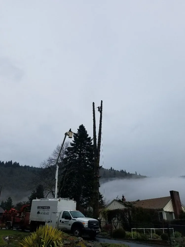 Custom residential landscaping for beautiful yards in Hood River, OR by Columbia Tree Service