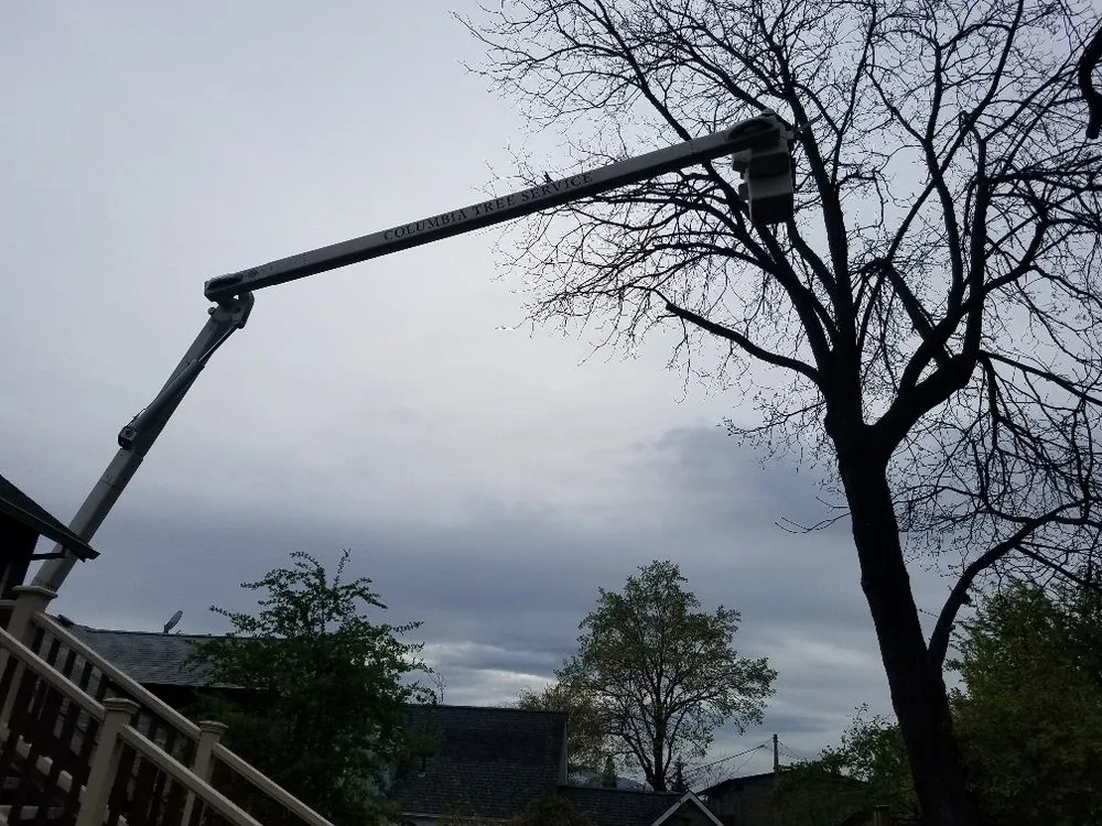 Expert landscape design for year-round maintenance in Hood River, OR by Columbia Tree Service