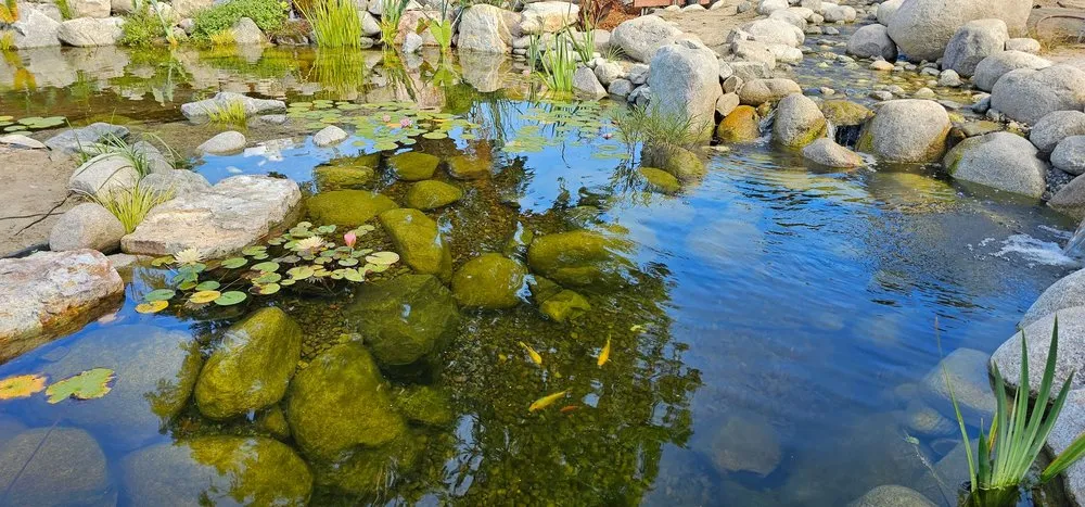 Expert lawn care service in Beaumont, CA - Columbia Water Gardens