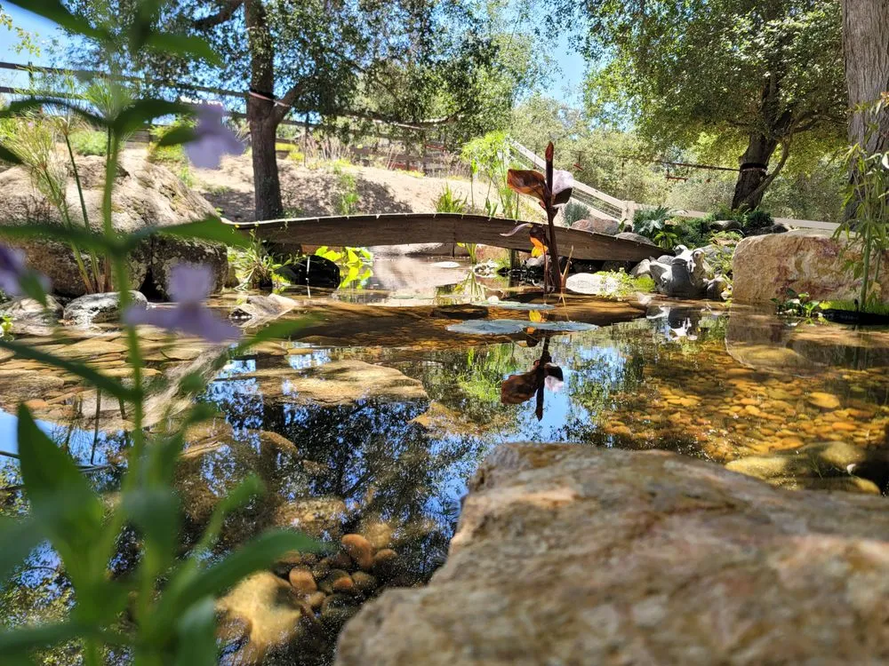 Reliable landscape design in Beaumont, CA - Columbia Water Gardens