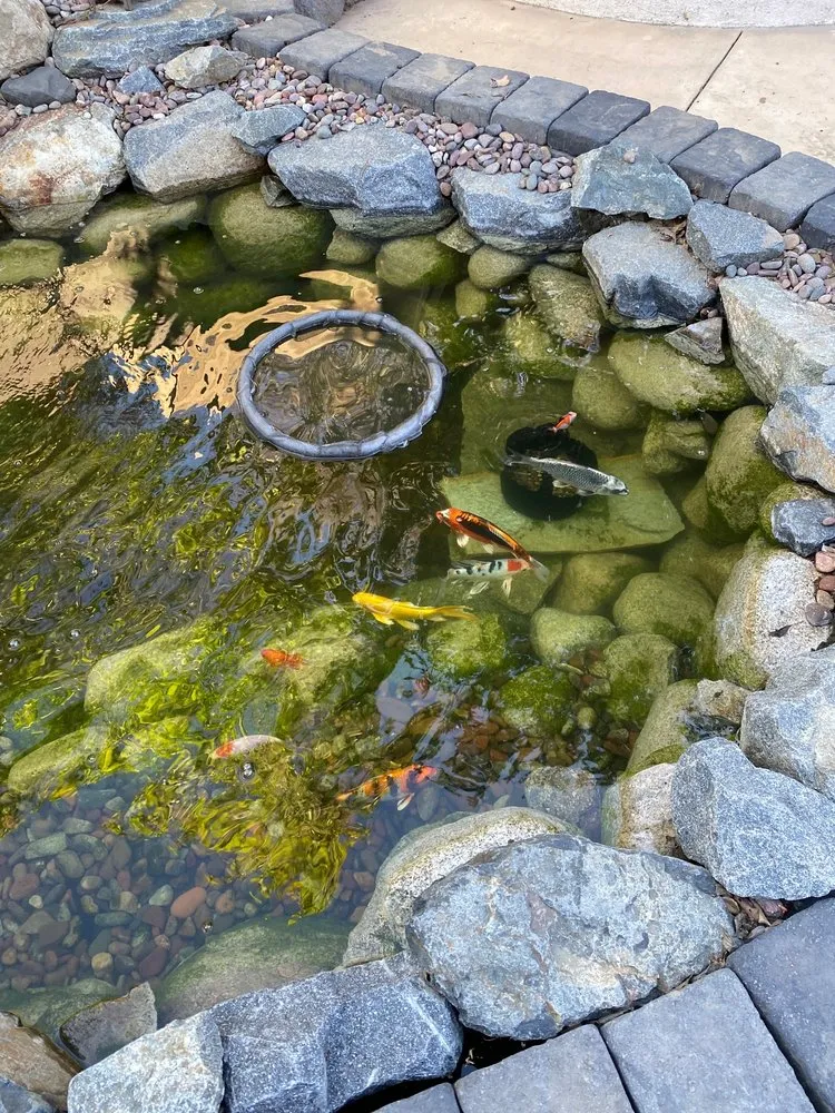 Expert yard cleanup service with custom design in Beaumont, CA by Columbia Water Gardens