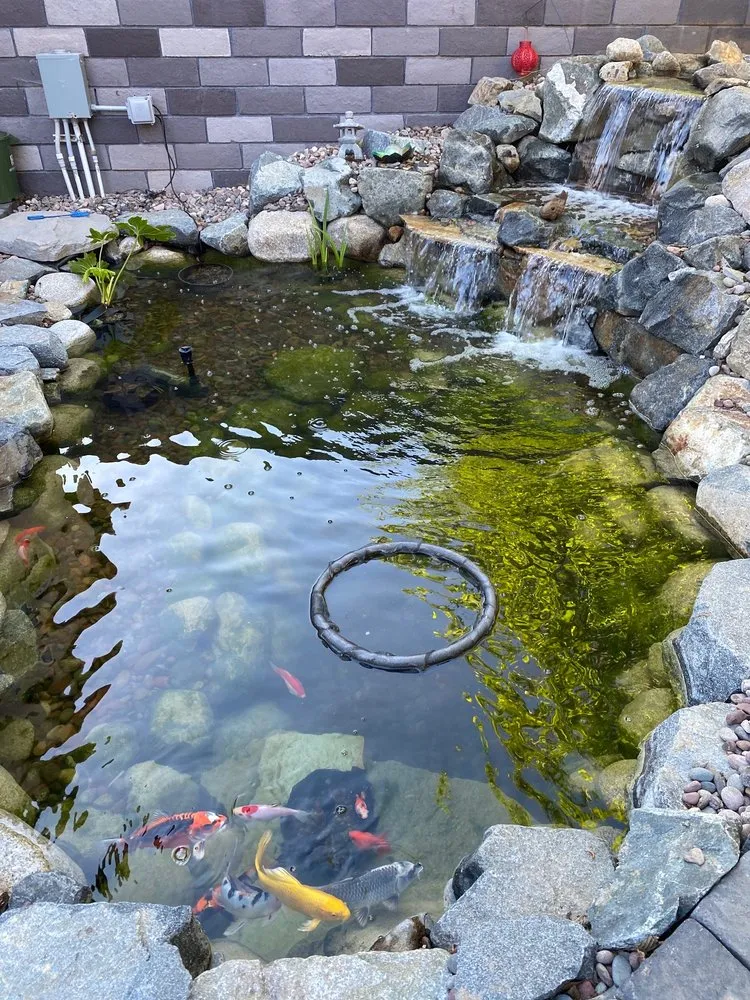 Custom yard cleanup service for year-round maintenance in Beaumont, CA by Columbia Water Gardens