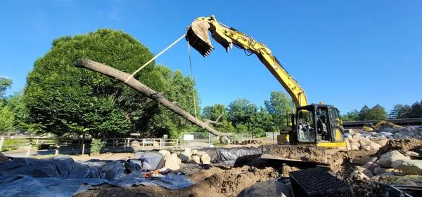 Columbia Water Gardens