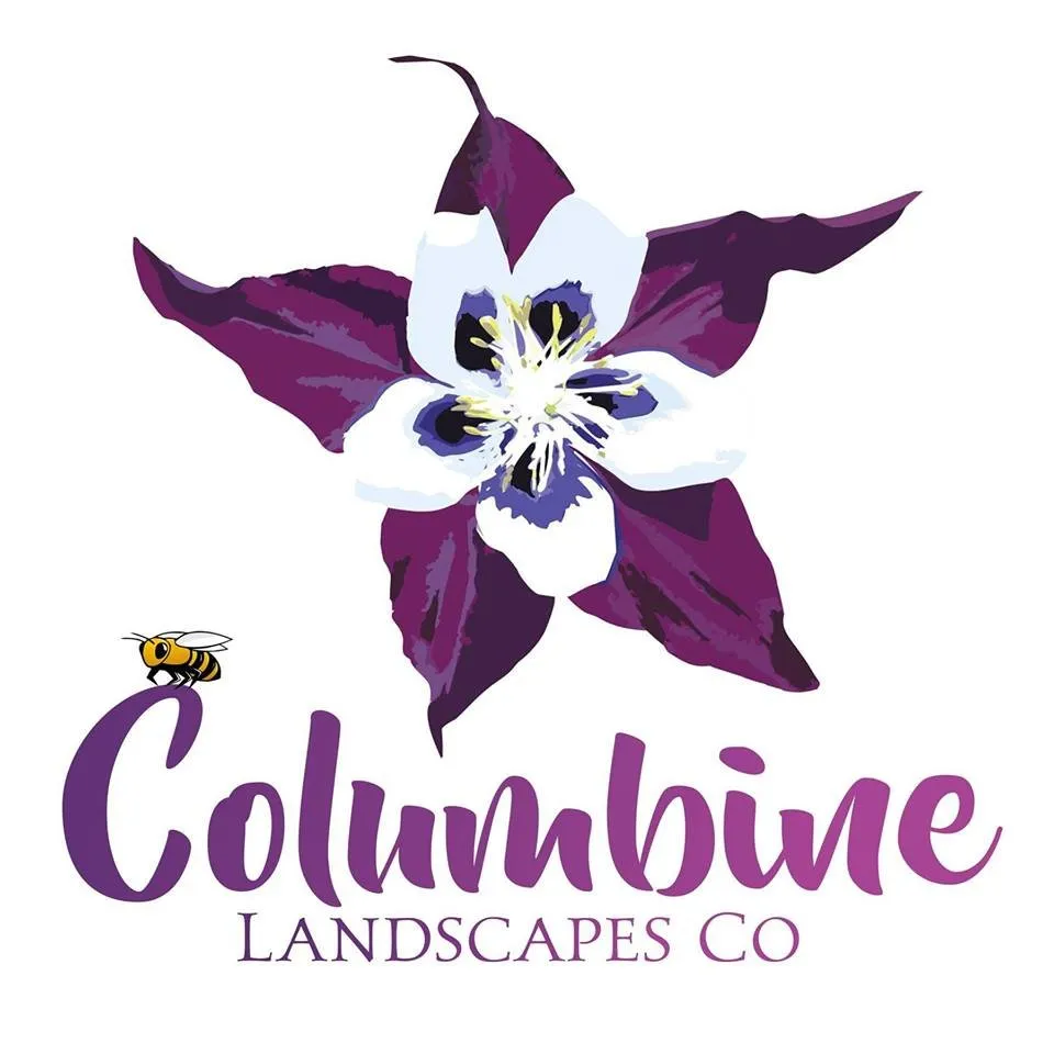 Top-rated yard maintenance for outdoor upgrades across Durango, CO - Columbine Landscapes