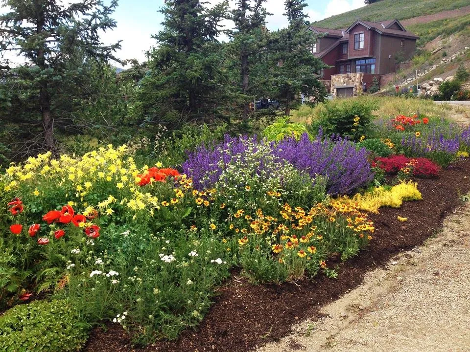 Affordable lawn care service in Durango, CO - Columbine Landscapes