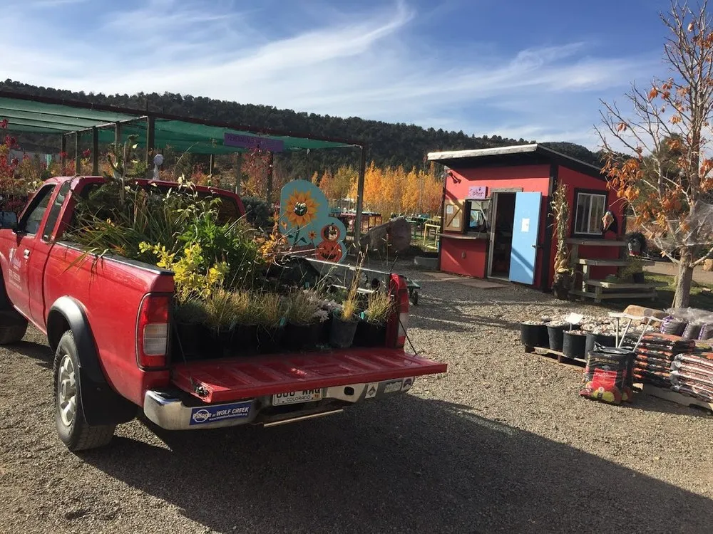 Custom landscape installation for homes across Durango, CO - Columbine Landscapes