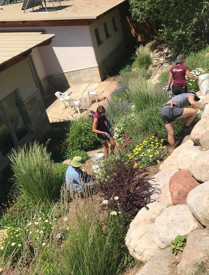 Reliable garden landscaping for outdoor upgrades in Durango, CO by Columbine Landscapes