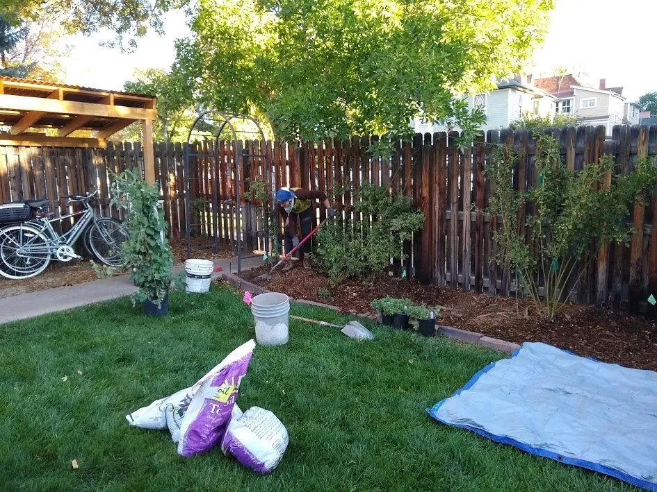 Reliable yard cleanup service in Durango, CO by Columbine Landscapes