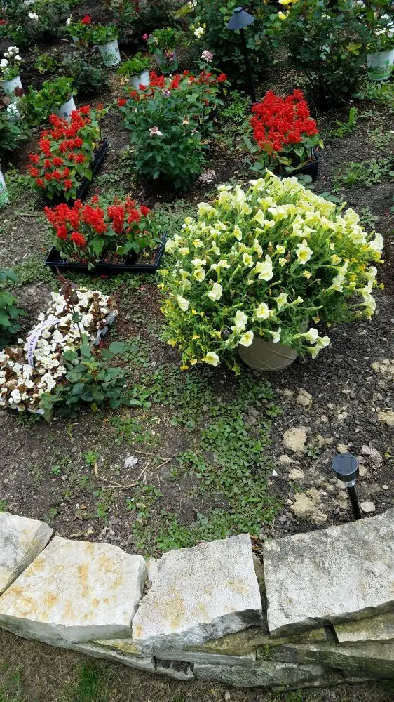 Affordable landscape installation near you in Columbus, OH by Columbus Hedge & Trim Services