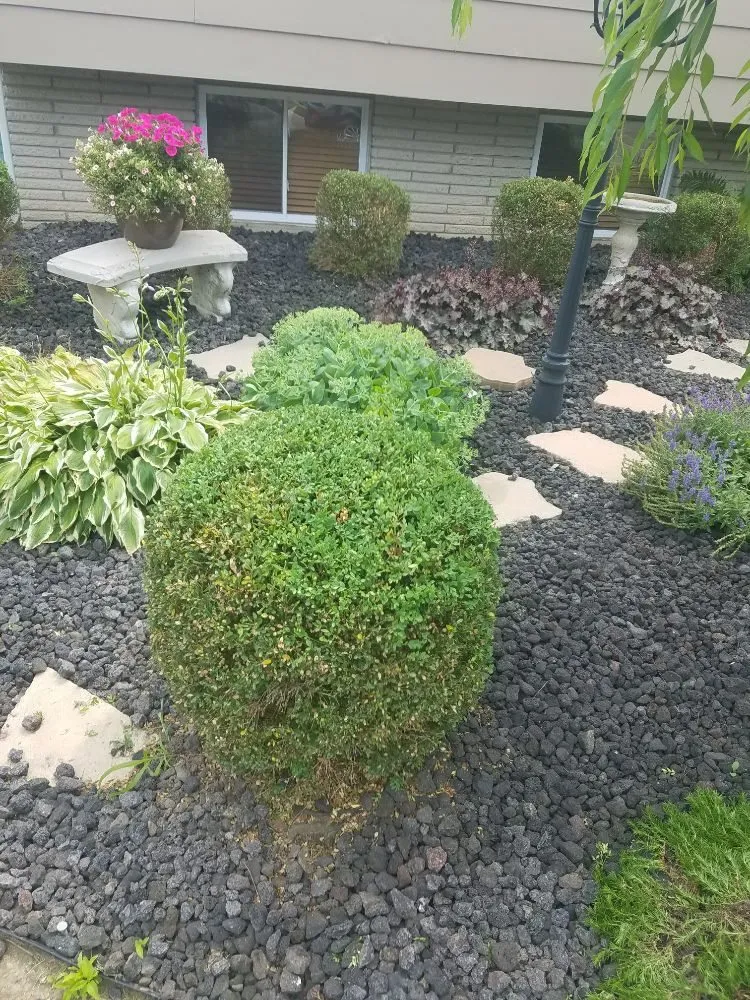 Affordable outdoor landscaping for beautiful yards across Columbus, OH - Columbus Hedge & Trim Services