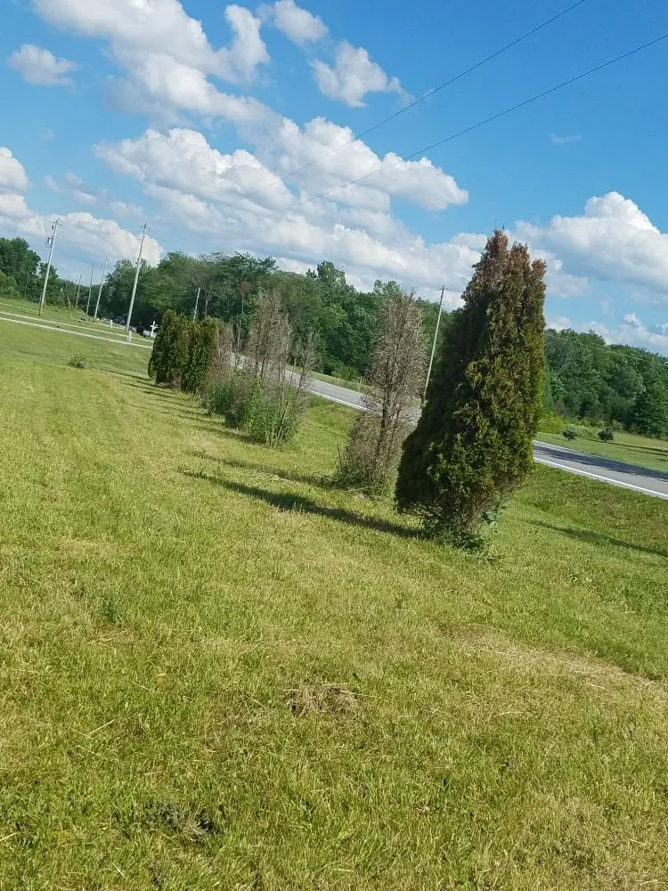 Reliable landscape design experts serving Columbus, OH - Columbus Hedge & Trim Services