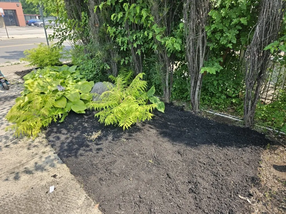 Reliable lawn care service experts serving Columbus, OH - Columbus Lawn Pros